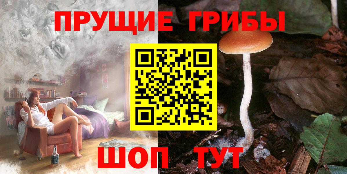 Галлюциногенные грибы мицелий  Галлюциногенные грибы MAGIC MUSHROOMS  Качканар  Вход с VPN 