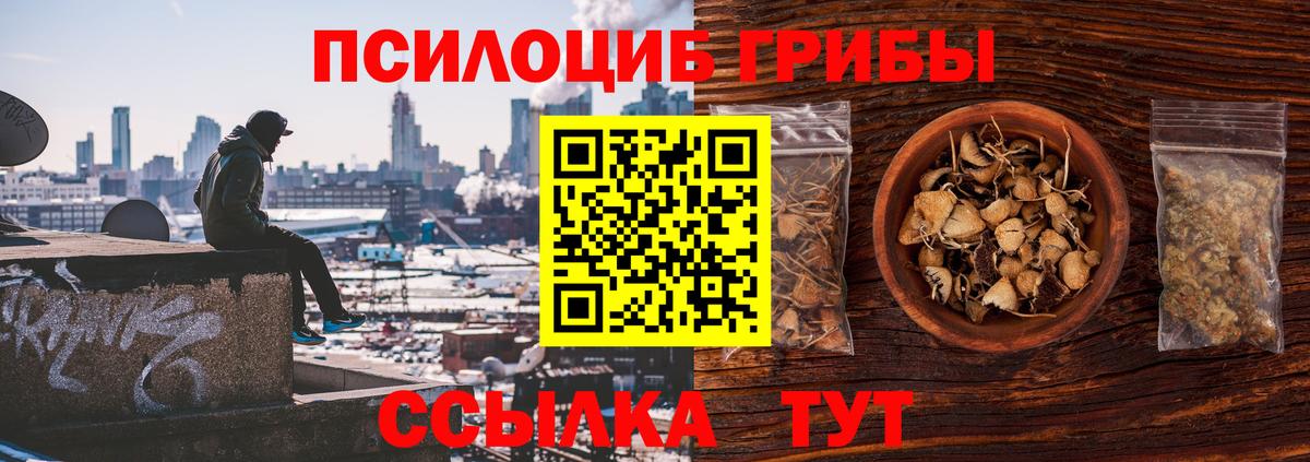 Псилоцибиновые грибы MAGIC MUSHROOMS Качканар